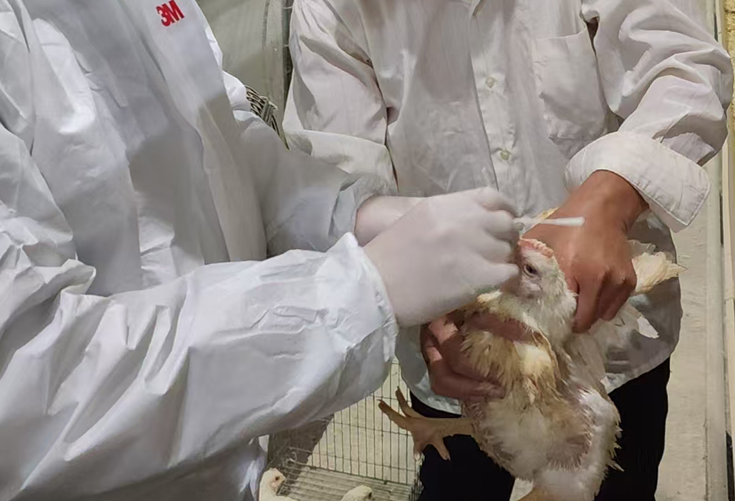 纳抗应用宝典三